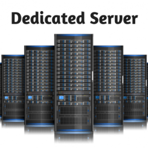 Dedicated Server Platinum / 2 Years